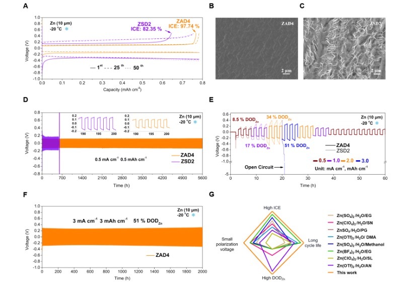 圖為零下20攝氏度環(huán)境下鋅金屬負(fù)極的電化學(xué)性能。（研究團(tuán)隊(duì)供圖）.jpg
